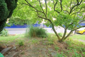 Photo 11- click for photo gallery